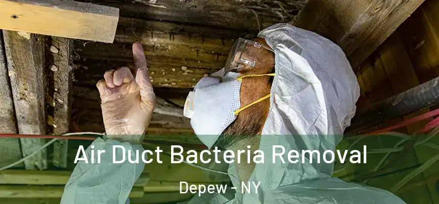  Air Duct Bacteria Removal Depew - NY