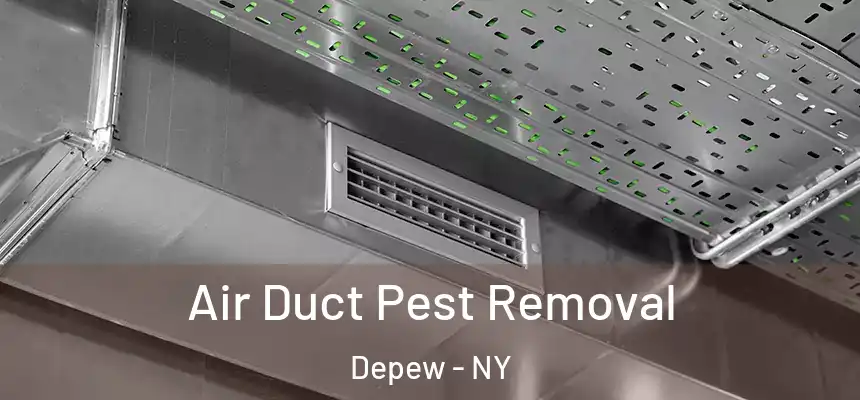 Air Duct Pest Removal Depew - NY