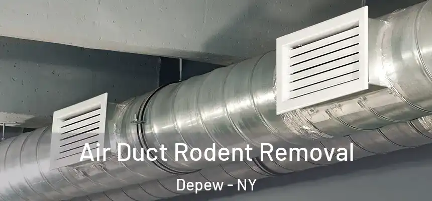  Air Duct Rodent Removal Depew - NY