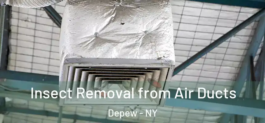  Insect Removal from Air Ducts Depew - NY