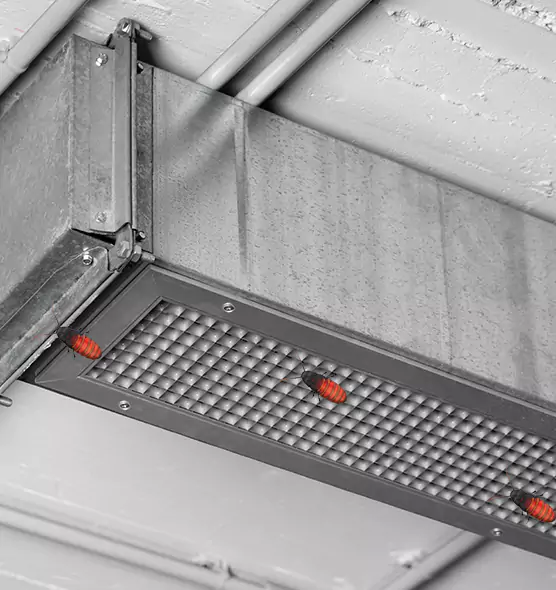 About Air Duct Cockroach Removal in Depew, NY