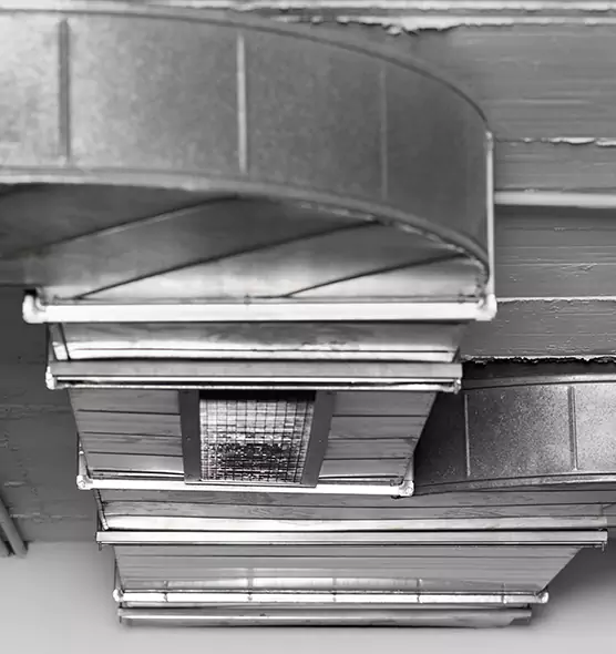 Professional Air Duct Pest Removal in Depew, NY