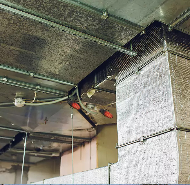 Why Homeowners & Businesses Trust Us in Depew, NY?