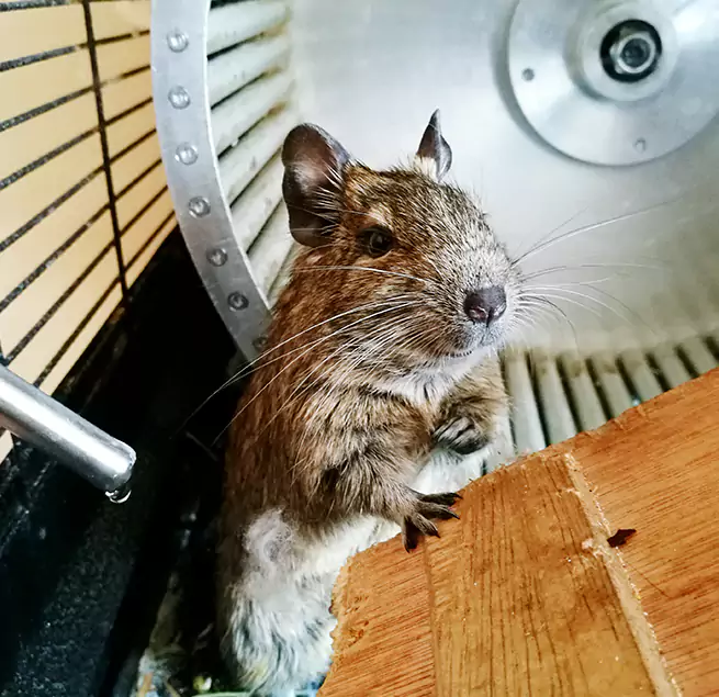 Why Homeowners & Businesses Trust Us Depew, NY